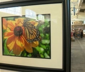 Albuquerque art show honors recovery journeys