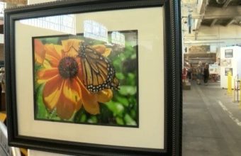 Albuquerque recovery art show spotlights local artists in healing