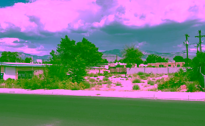 Albuquerque’s own “pig house” property racks up code violations