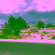 Albuquerque’s “pig house” property racks up violations under city ownership
