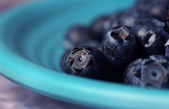 Blueberry compound may help muscles burn fat, Japan study finds