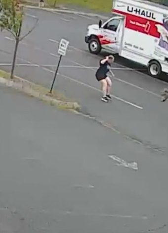 Mystery animal attacks people in Lebanon, New Hampshire