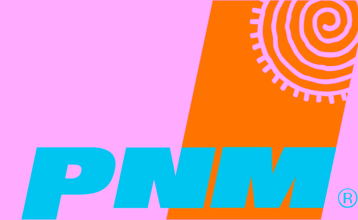 New Mexico DOJ presses PNM on estimated electric bills