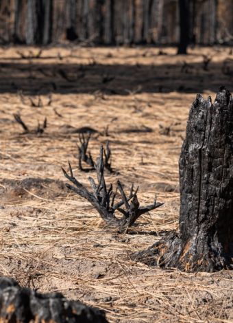 New Mexico state forester explains how burn scars fuel flooding