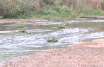 Rio Grande flows again, but Albuquerque water managers warn it’s not enough