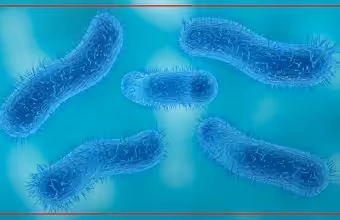 Health experts raise concerns as drug-resistant shigellosis cases rise