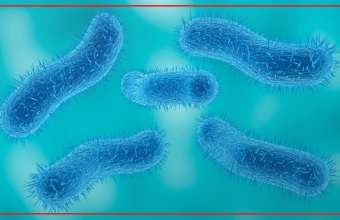 Health experts raise concerns as drug-resistant shigellosis cases rise