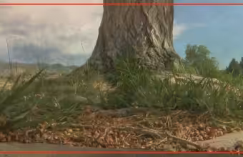 Neighbors fight to save cottonwood trees at Albuquerque park