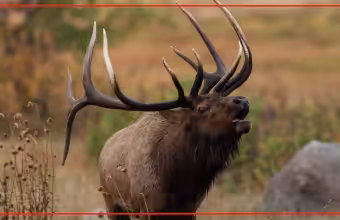 Raúl Torrez calls outfitter hunting tags system unconstitutional in New Mexico