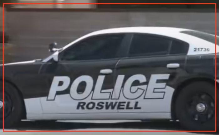Roswell police arrest 29 people in retail crime operation
