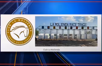 US sanctions Gamaliel Garza García over Cartel del Noreste links
